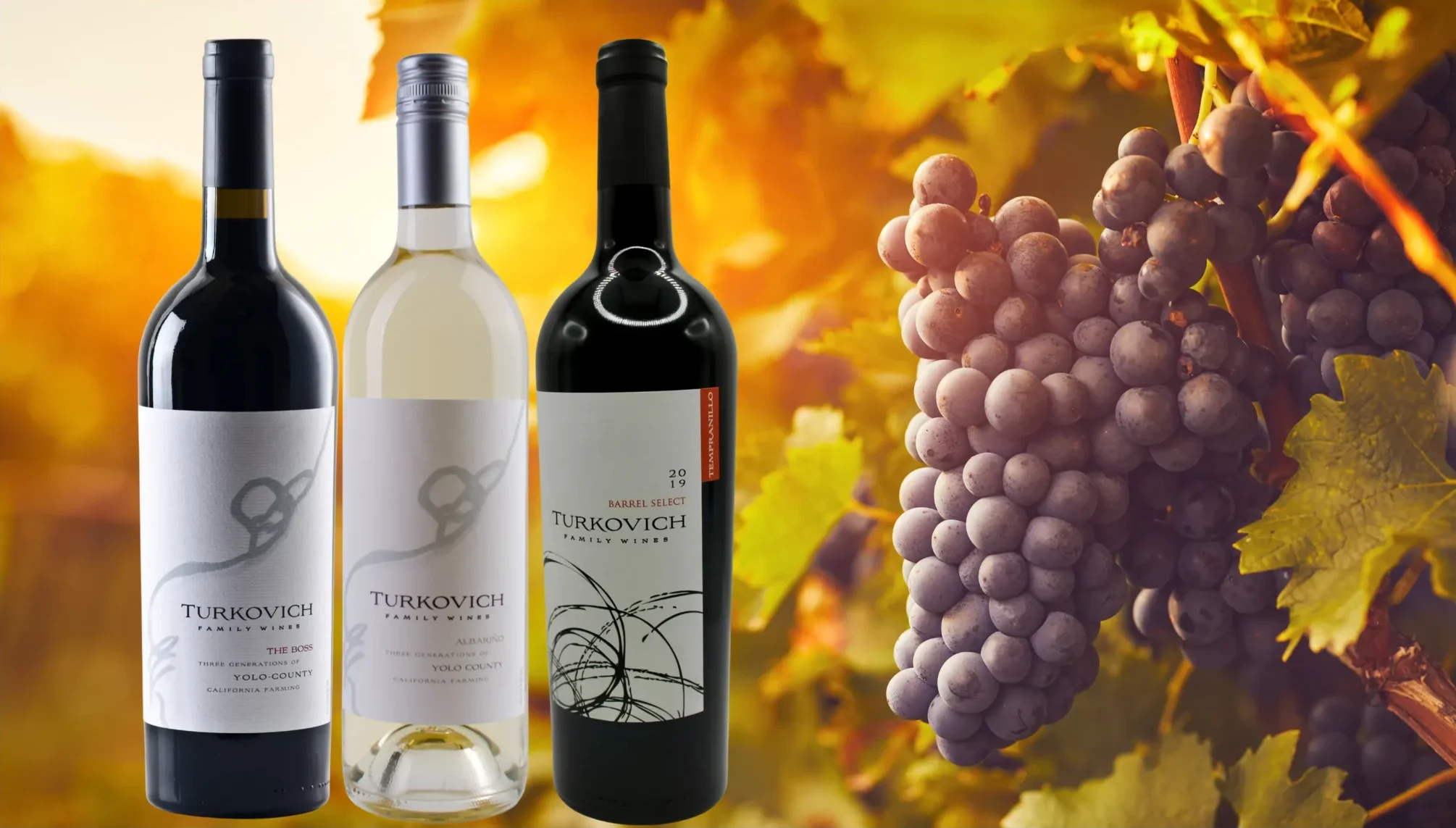 Taste of Yolo wine collection featuring Boss red blend, Albarino white wine, and Barrel Select Tempranillo from California