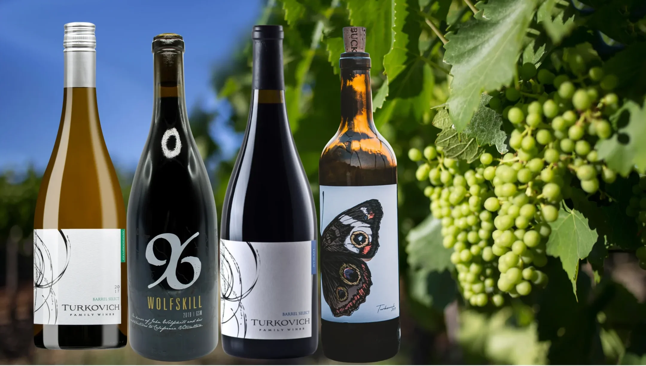 Reserve wine collection four-pack featuring premium California wines with limited release selections