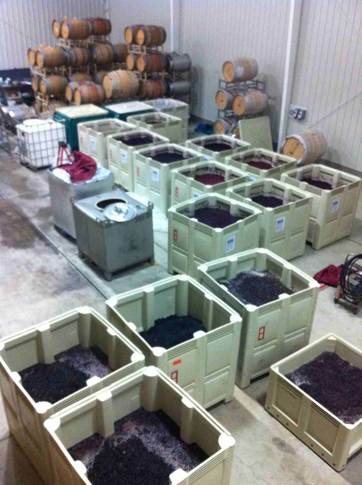 Wine fermentation tanks at Turkovich Family facility