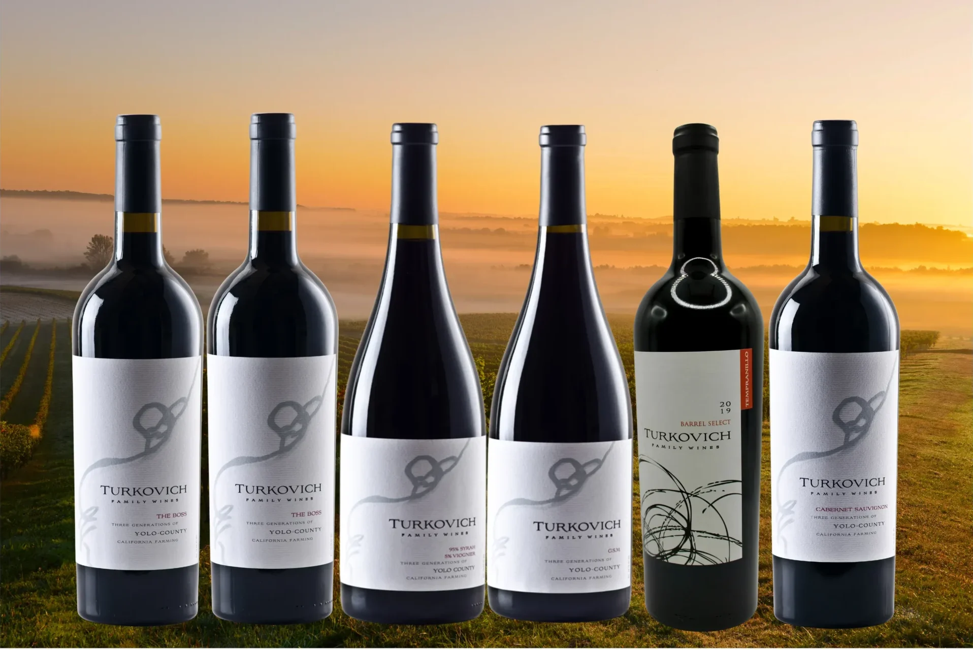Most popular wine collections including all red wines